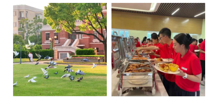 微信截图_20230129115307 微信截图_20230129115307